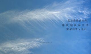 我像风一样自由 我像风一样自由